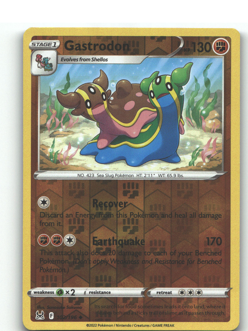 Gastrodon