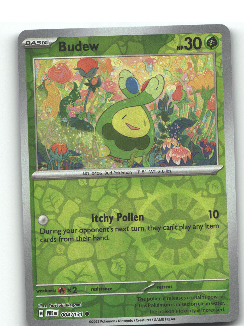 Budew