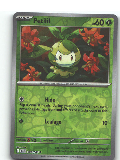 Petilil