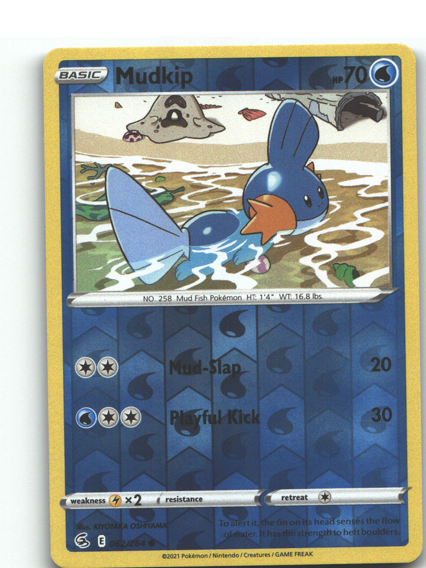 Mudkip