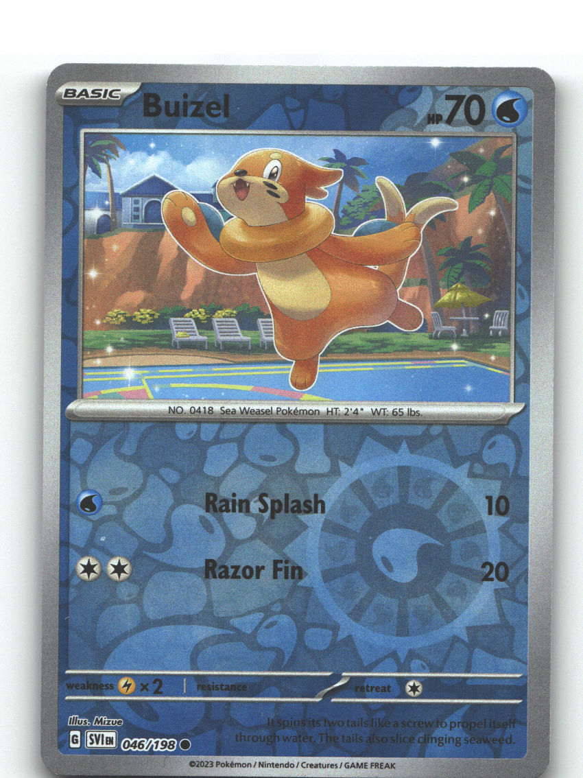 Buizel