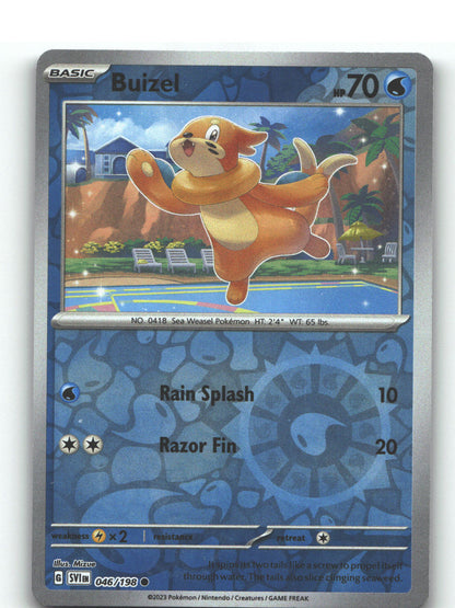 Buizel