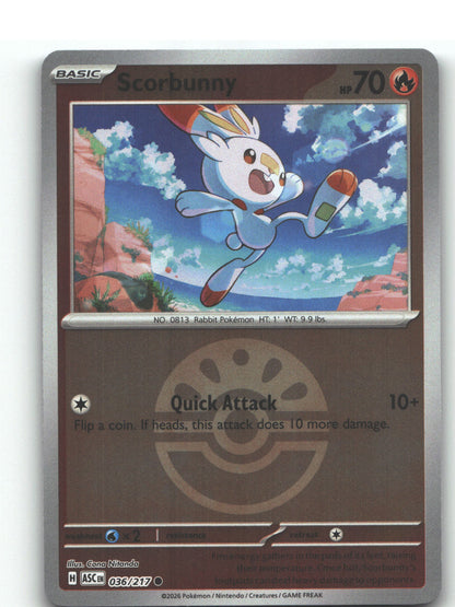 Scorbunny - 036/217 (Friend Ball)