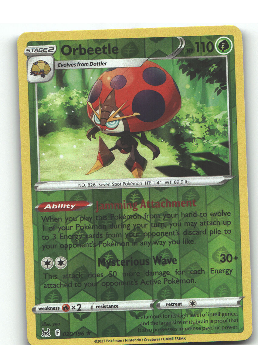 Orbeetle