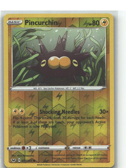 Pincurchin
