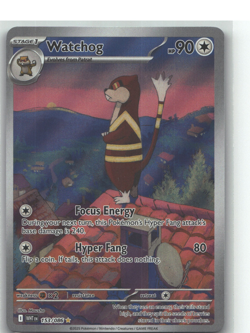 Watchog - 153/086