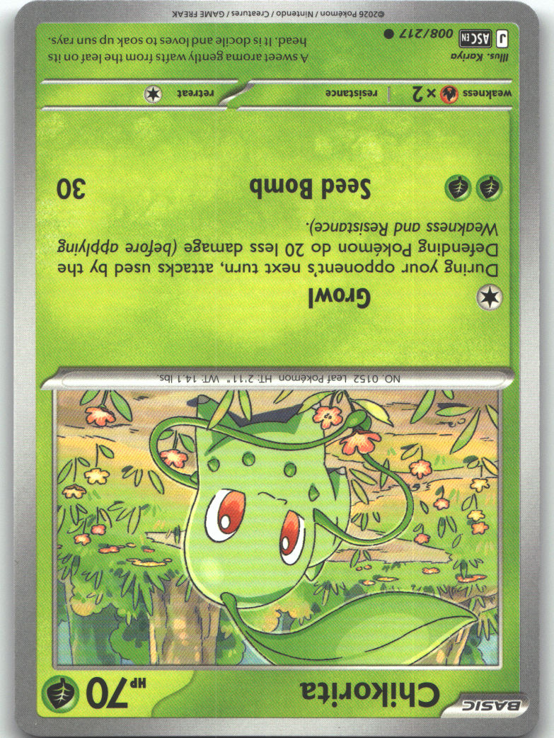 Chikorita
