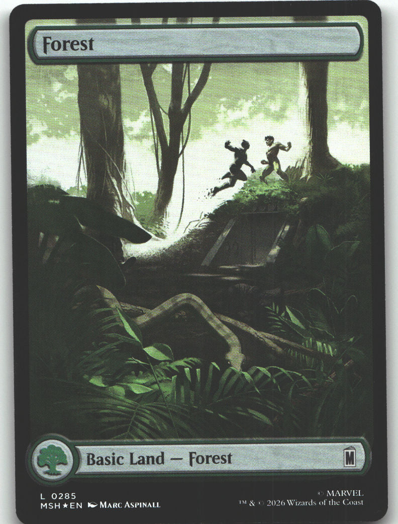 Forest (0285)