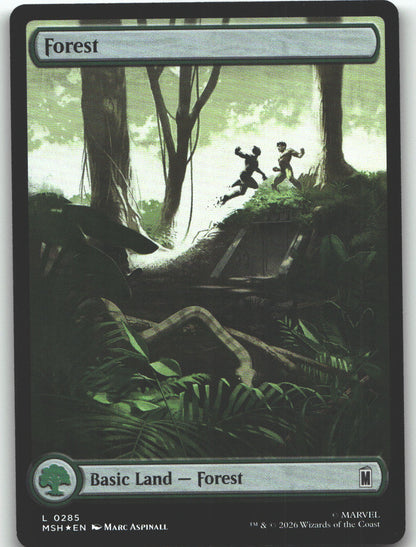 Forest (0285)