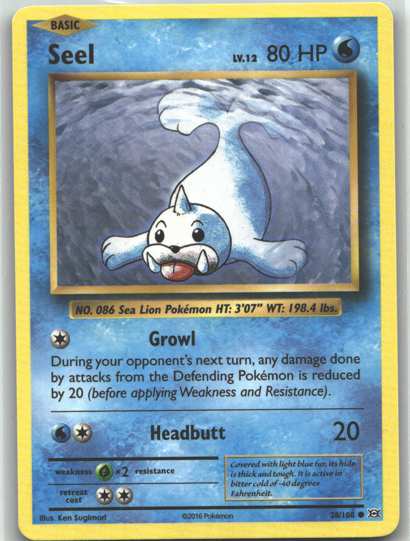 Seel