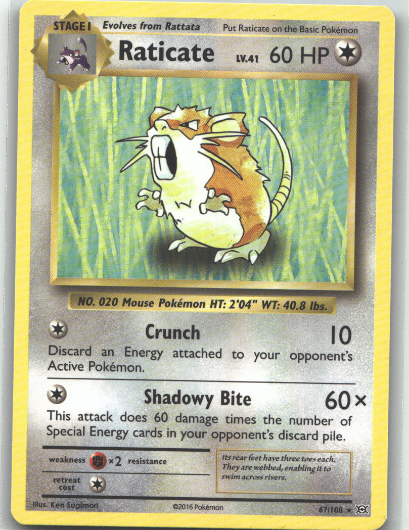 Raticate