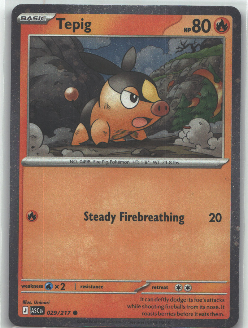 Tepig - 029/217 (Cosmos Holo)