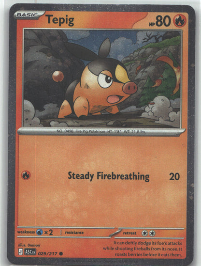 Tepig - 029/217 (Cosmos Holo)