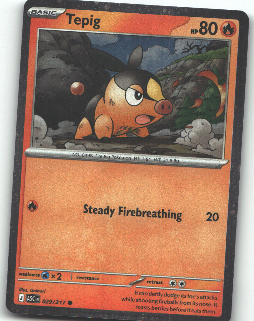 Tepig - 029/217 (Cosmos Holo)