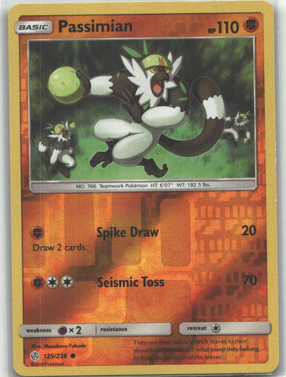 Passimian