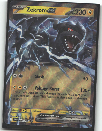 Zekrom ex