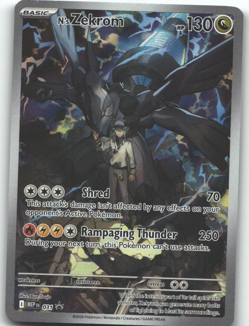 N's Zekrom - 031