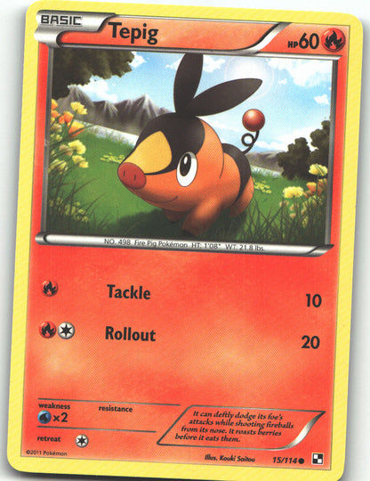 Tepig (15)