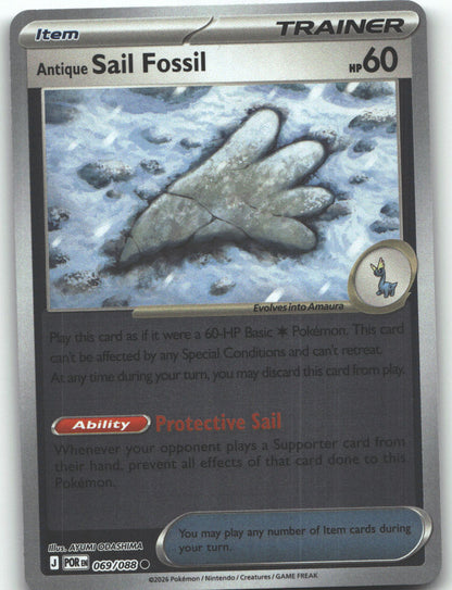 Antique Sail Fossil
