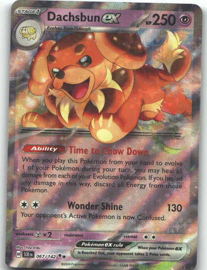 Dachsbun ex - 067/142