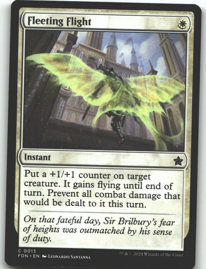 Fleeting Flight