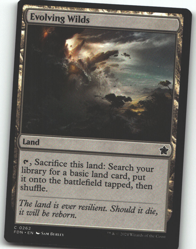 Evolving Wilds