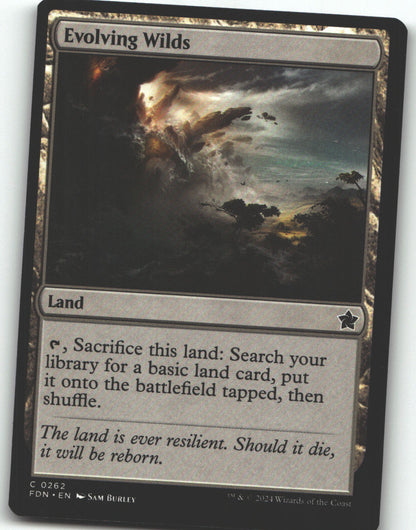 Evolving Wilds