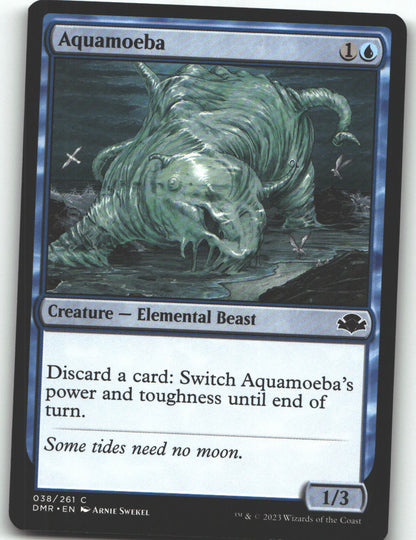 Aquamoeba