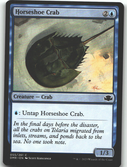 Horseshoe Crab