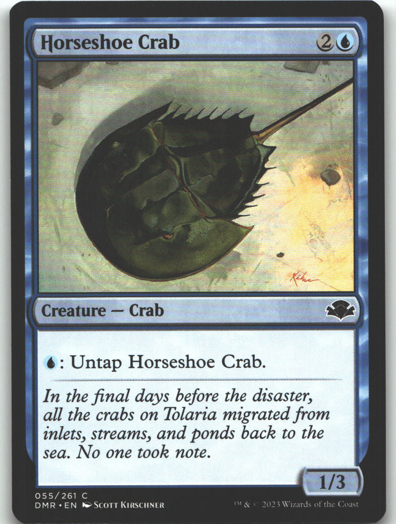 Horseshoe Crab