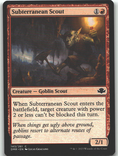 Subterranean Scout