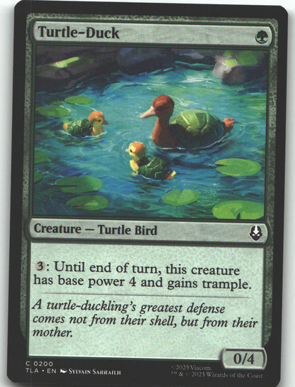 Turtle-Duck