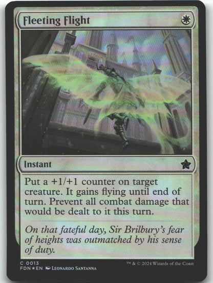 Fleeting Flight