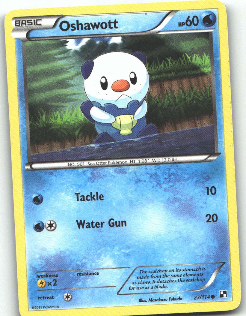 Oshawott (27)