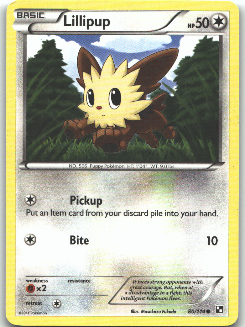 Lillipup (80)