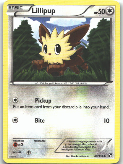 Lillipup (80)