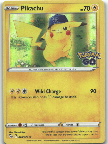 Pikachu (28)
