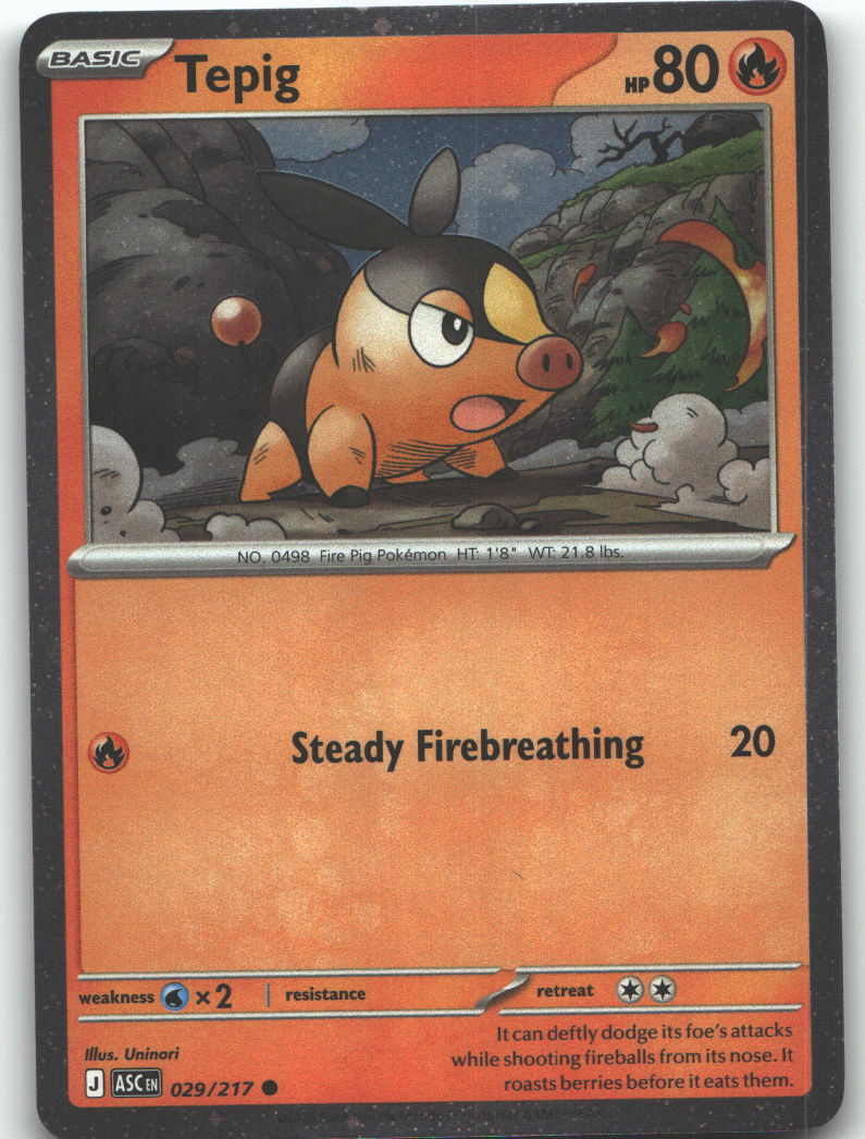Tepig - 029/217 (Cosmos Holo)
