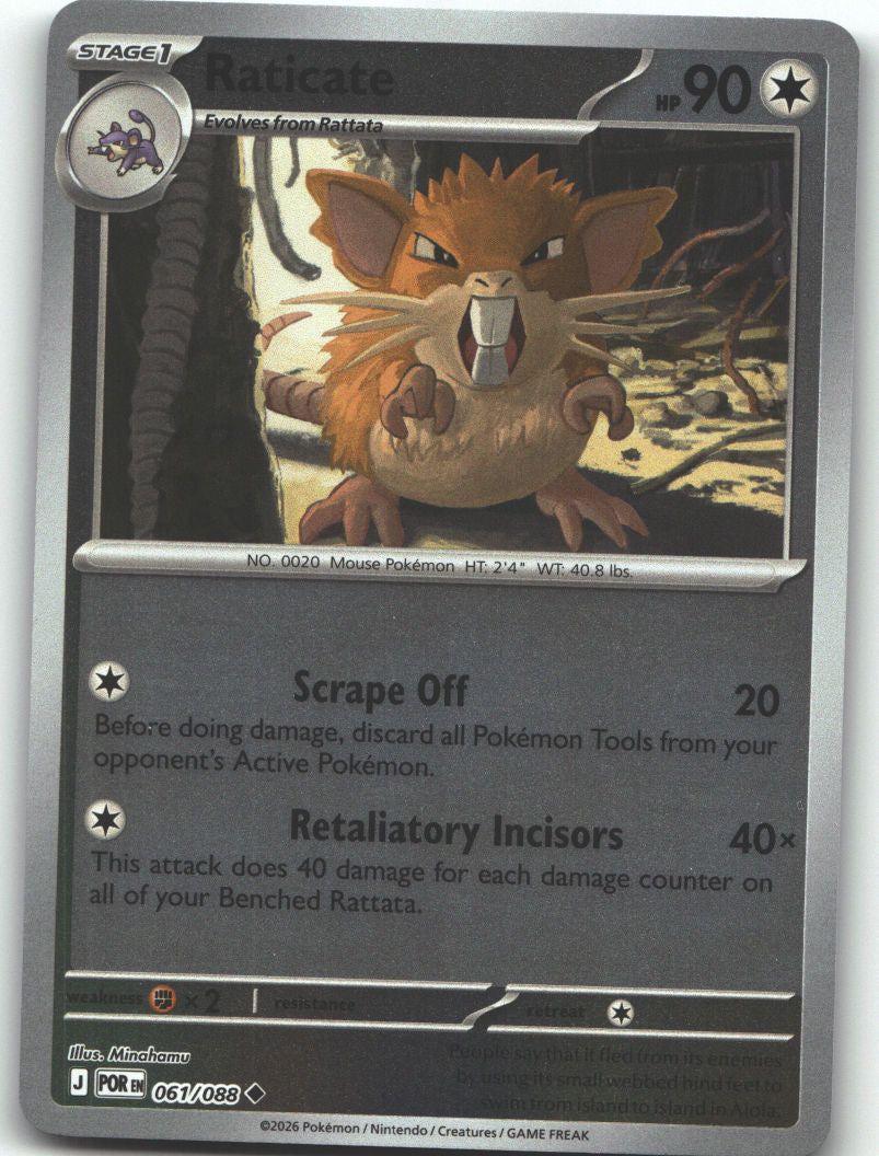 Raticate - 061/088