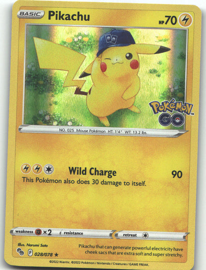 Pikachu (28)