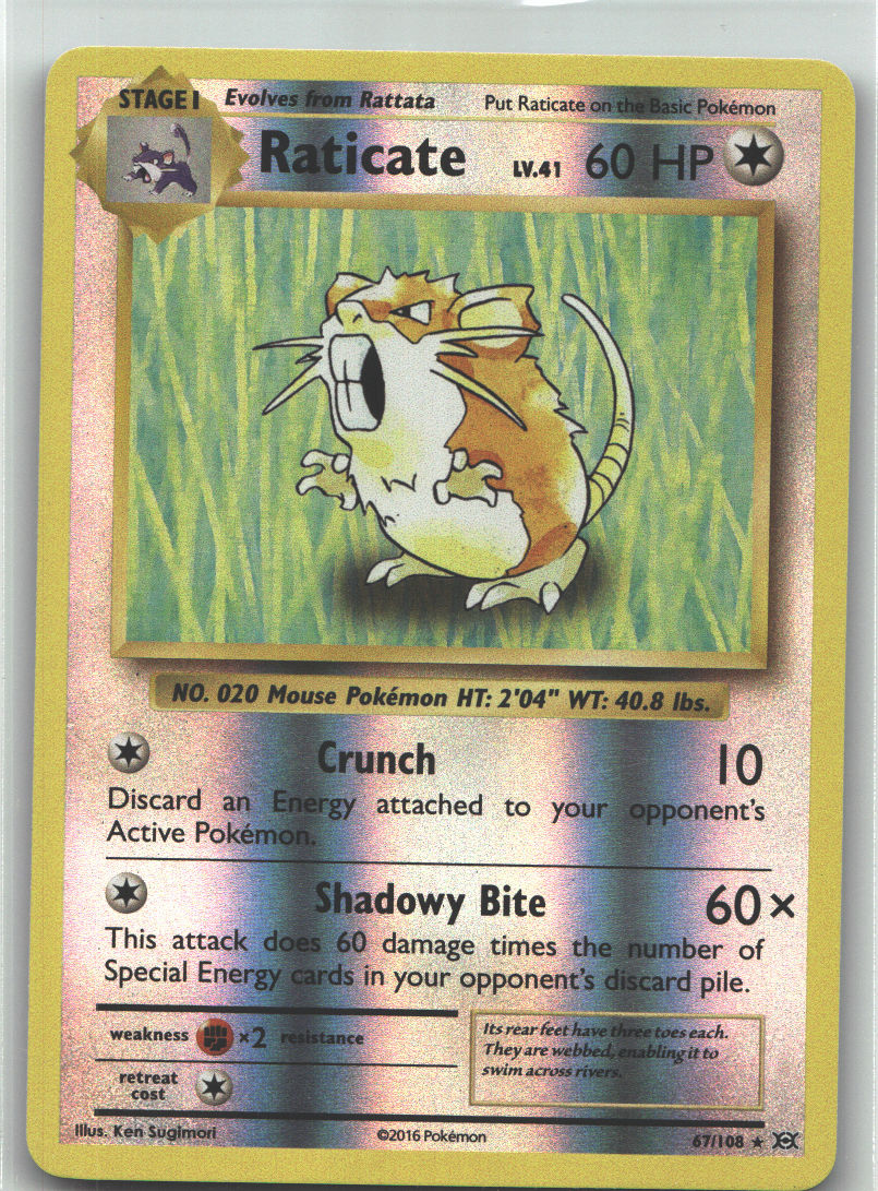Raticate
