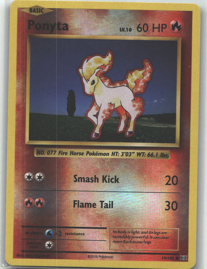 Ponyta