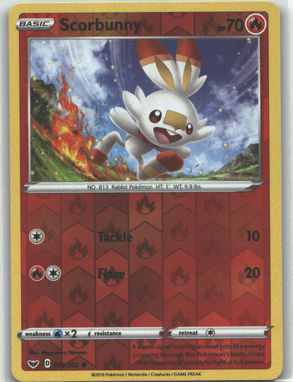 Scorbunny (031)
