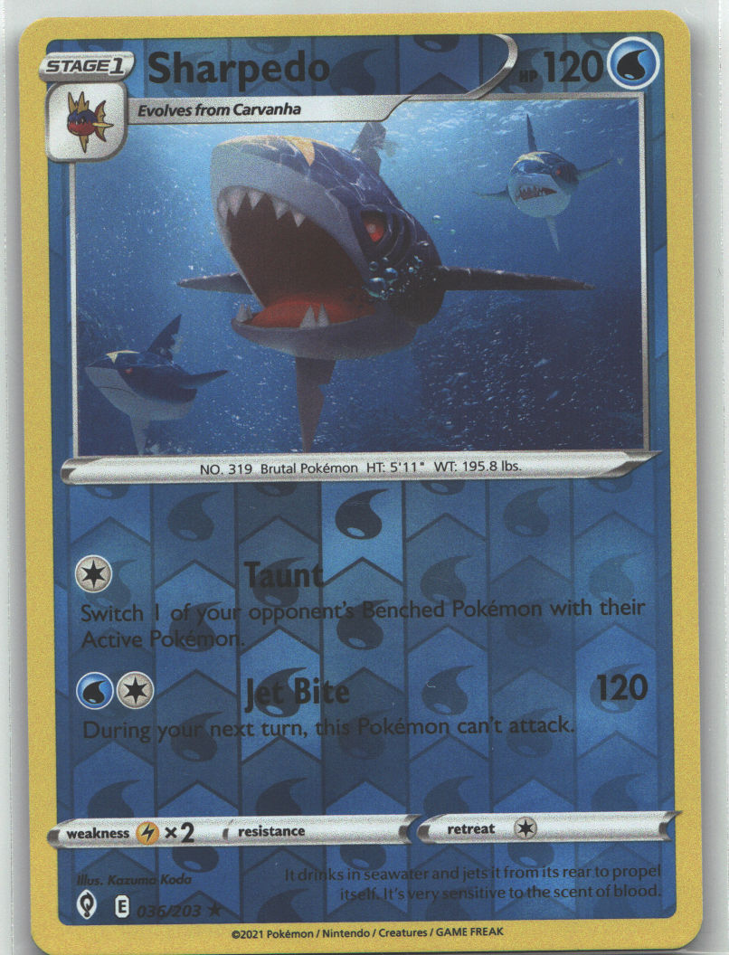 Sharpedo