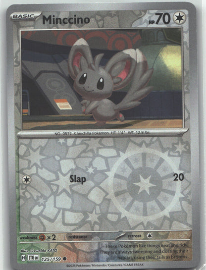 Minccino
