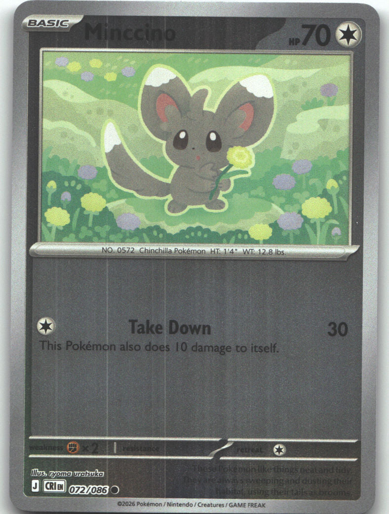 Minccino