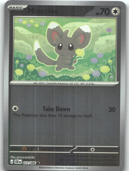 Minccino