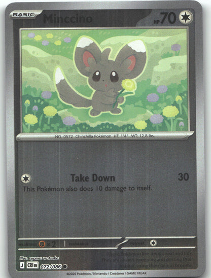 Minccino