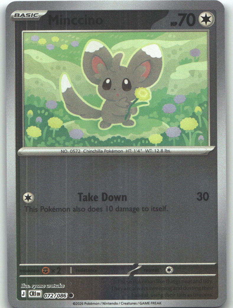 Minccino
