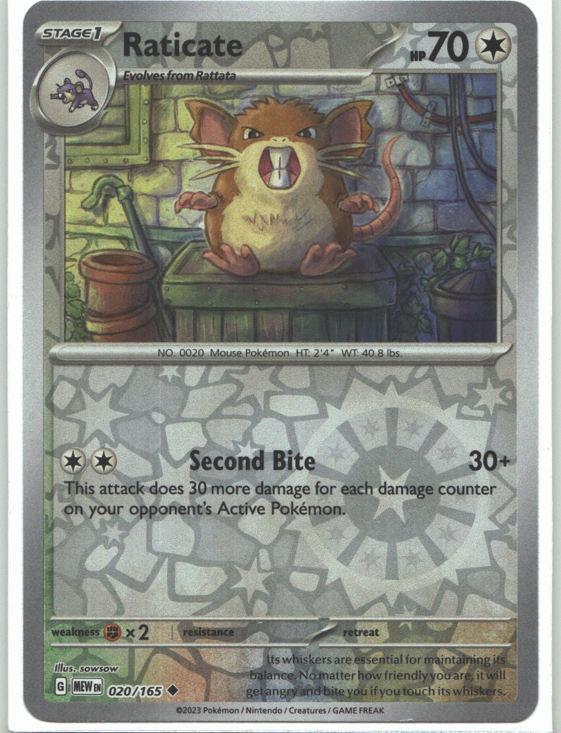 Raticate